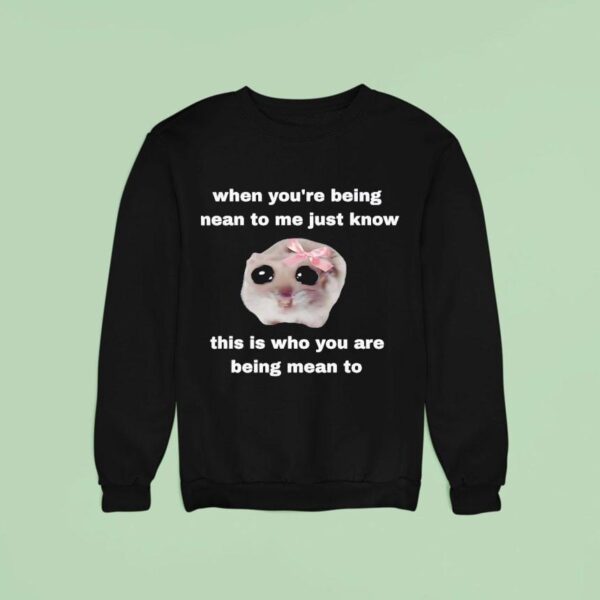 When You Re Being Mean To Me Just Know This Is Who You Are Being Mean To Sweatshirt