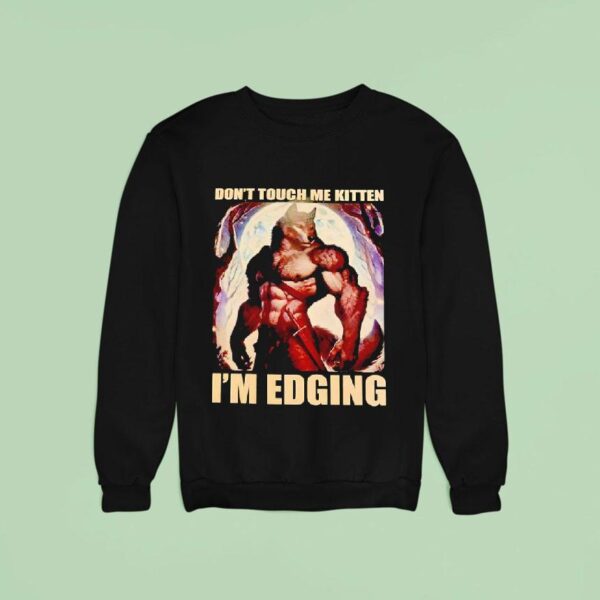 Wolf Muscle Don T Touch Me Kitten I M Edging Sweatshirt