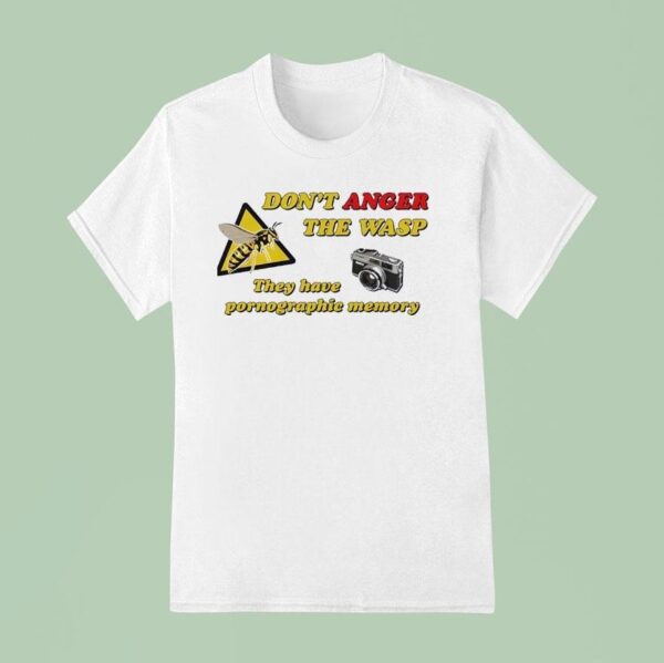Don T Anger The Wasp They Have Pornographic Memory T Shirt