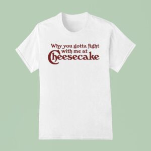 Drake Why You Gotta Fight With Me At Cheesecake T Shirt
