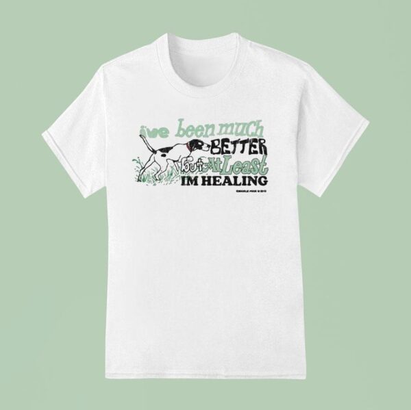Knuckle Puck I Ve Been Much Better But At Least Im Healing T Shirt
