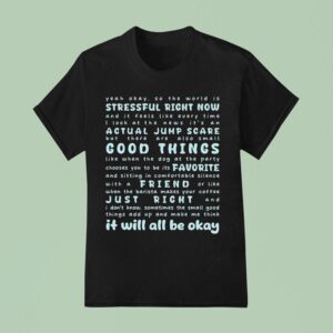 Stressful Right Now Actual Jumpscare Good Things Favorite Friend Just Right It Will All Be Okay T Shirt
