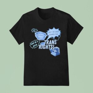 Trans Rights The T In Cmat Stands For Don T Be A Bitch Okay T Shirt