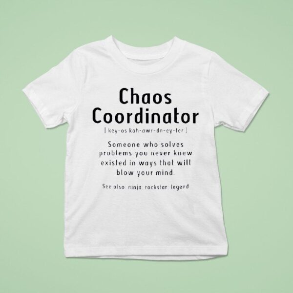 Chaos Coordinator Someone Who Solves Problems You Never Knew Existed In Ways T Shirt