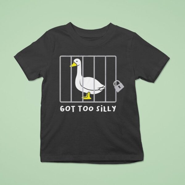 Diversity Hires Got Too Silly T Shirt