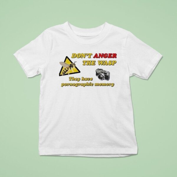 Don T Anger The Wasp They Have Pornographic Memory T Shirt