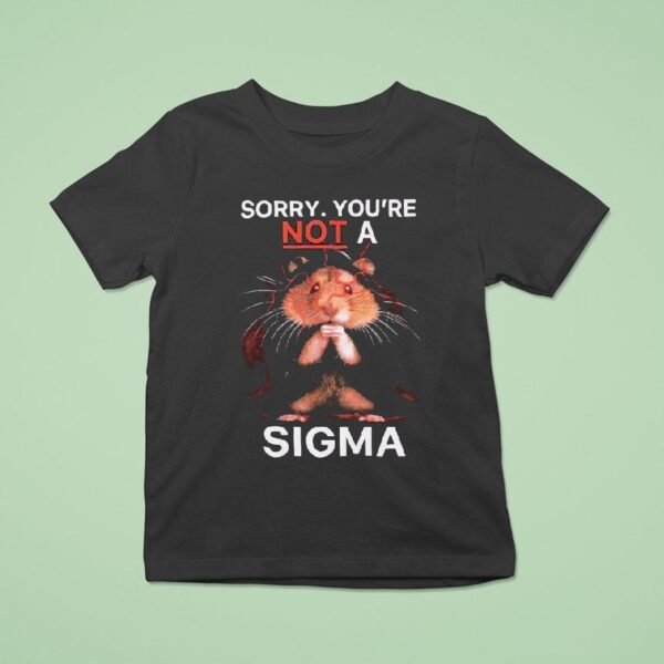 Hamster Sorry Youre Not A Sigma T Shirt