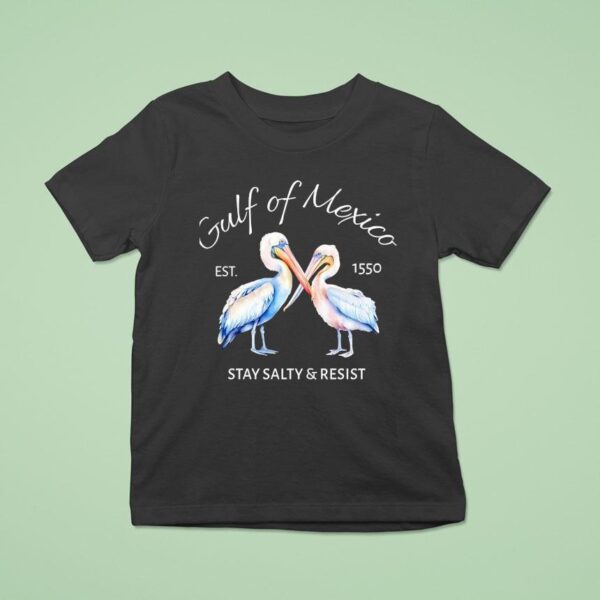 Pelican Gulf Of Mexico Print Stay Salty And Resist Est T Shirt