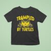 Trampled By Turtles Summercamp Owl T Shirt