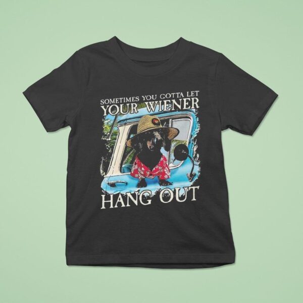 Velion Sometimes You Gotta Let Your Weiner Hang Ou T Shirt