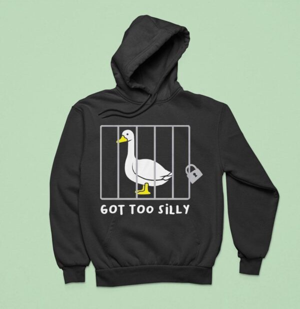 Diversity Hires Got Too Silly Hoodie