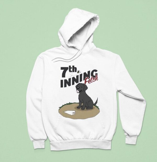 Dog Th Inning Fetch Baseball Hoodie