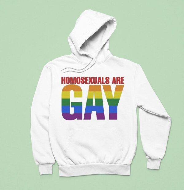 Homosexuals Are Gay Hoodie