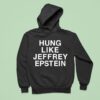 Hung Like Jeffrey Epstein Hoodie