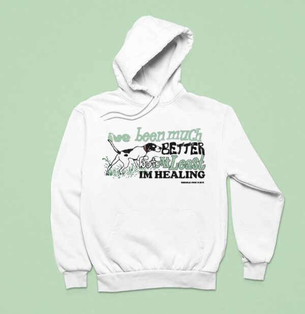 Knuckle Puck I Ve Been Much Better But At Least Im Healing Hoodie