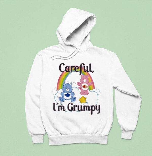 Teddy Careful I M Grumpy Hoodie