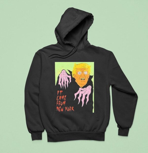 Witch Trump It Came From New York Halloween Graphic Hoodie