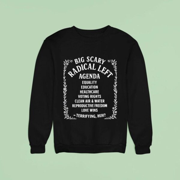 Big Scary Radical Left Agenda Equality Education Healthcare Voting Rights Sweatshirt