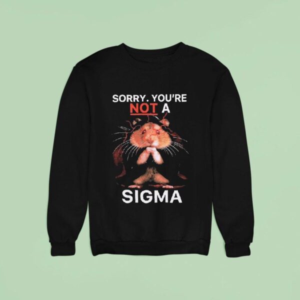 Hamster Sorry Youre Not A Sigma Sweatshirt