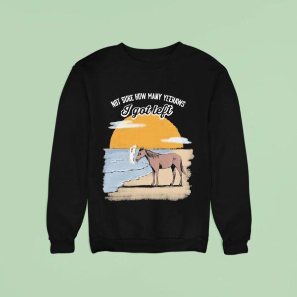 Not Sure How Many Yeehaws I Got Left Cigarettes Horse Sweatshirt