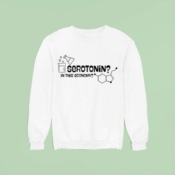 Serotonin In This Economy Sweatshirt
