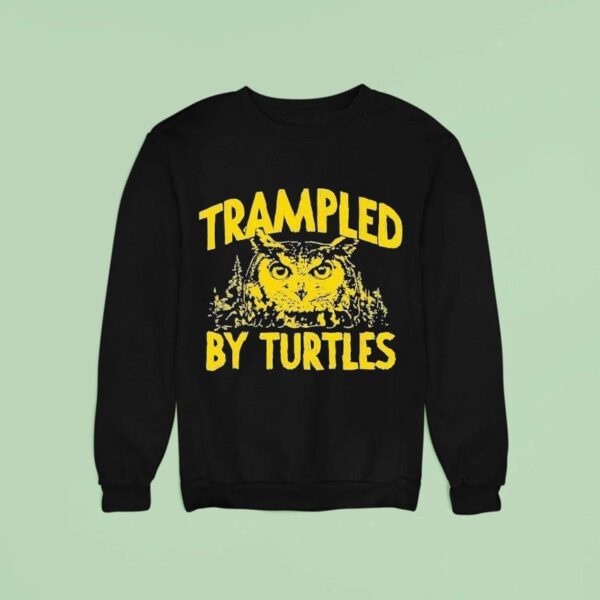 Trampled By Turtles Summercamp Owl Sweatshirt
