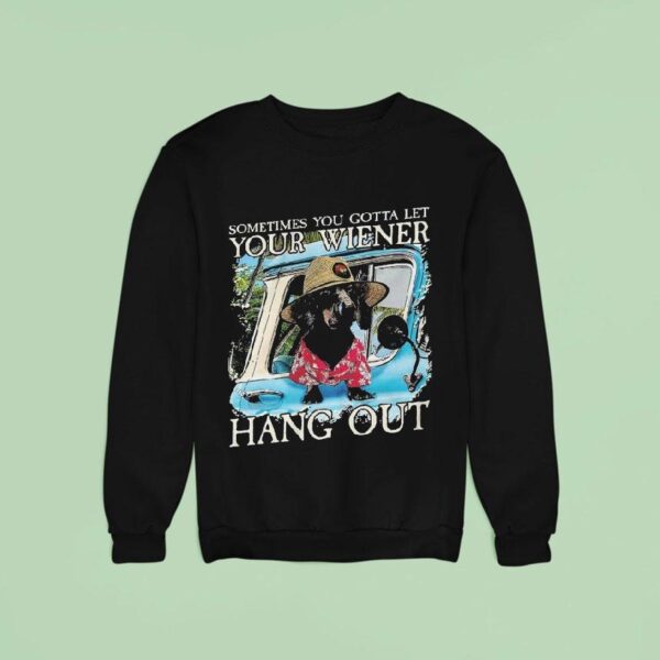Velion Sometimes You Gotta Let Your Weiner Hang Ou Sweatshirt
