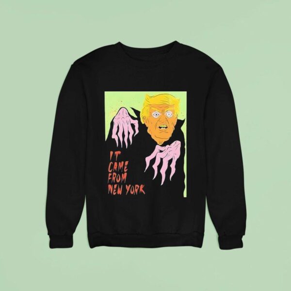 Witch Trump It Came From New York Halloween Graphic Sweatshirt
