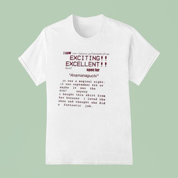 I Saw Emo Chiptune Girl Jasmine From Exciting Excellent Band Open For Anamanaguchi T Shirt