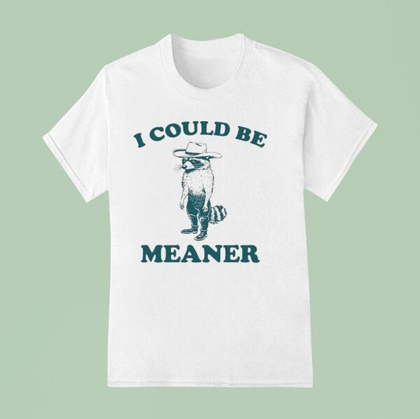Raccoon I Could Be Meaner T Shirt