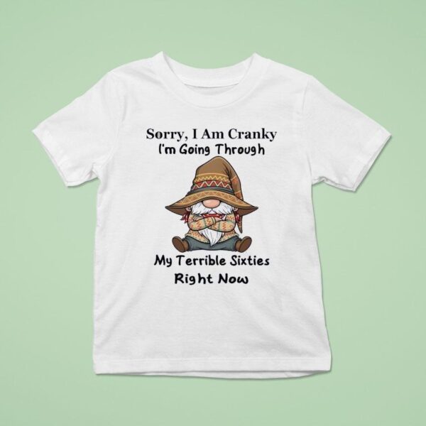 Sorry I Am Cranky I M Going Through My Terrible Sixties Right Now Gnome T Shirt