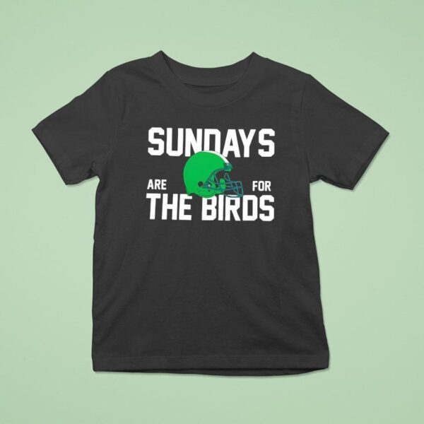 Sundays Are For The Birds Philadelphia Eagles Helme T Shirt