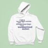 I Am A Low Budget Weirdo With Dangerous Toys And Weaponized Autism Hoodie