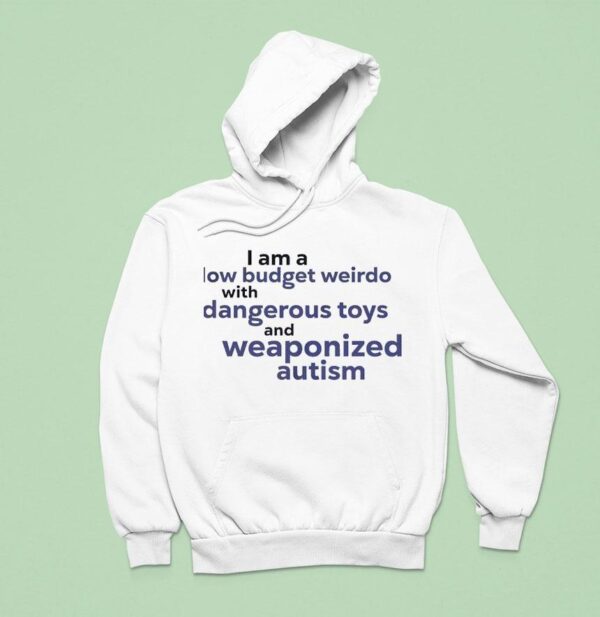 I Am A Low Budget Weirdo With Dangerous Toys And Weaponized Autism Hoodie
