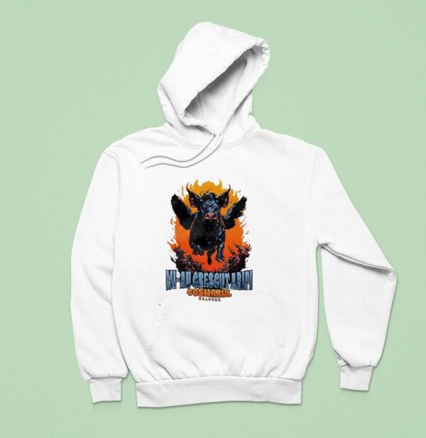 Pig Wings Mi Au Crescut Aripi Cosmarul Multora Hoodie