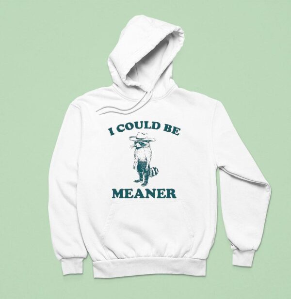 Raccoon I Could Be Meaner Hoodie