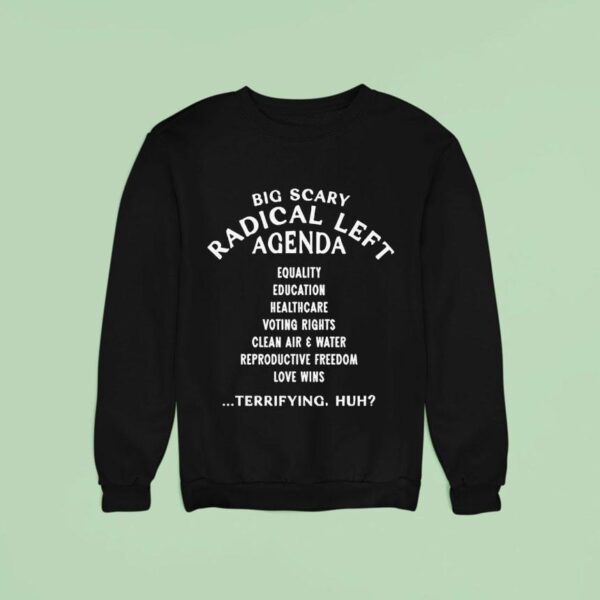 Big Scary Radical Left Agenda Equality Education Healthcare Voting Rights Clean Air And Water Sweatshirt