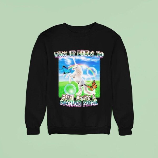 How It Feels To Fart Away A Stomach Ache Horse Sweatshirt