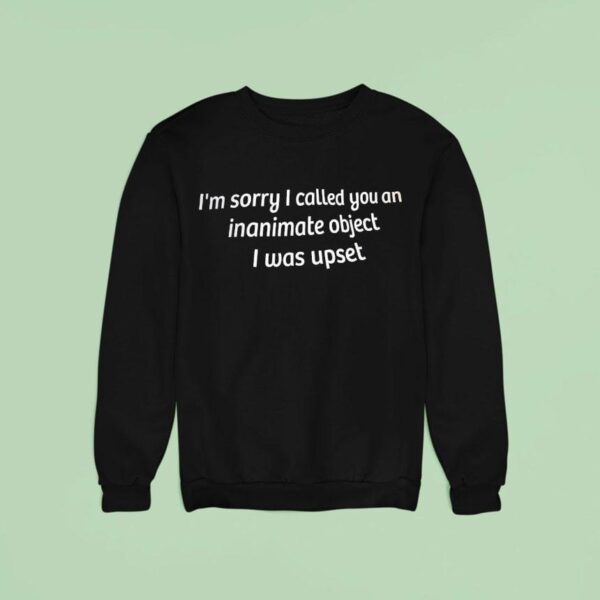 I M Sorry I Called You An Inanimate Object I Was Upse Sweatshirt