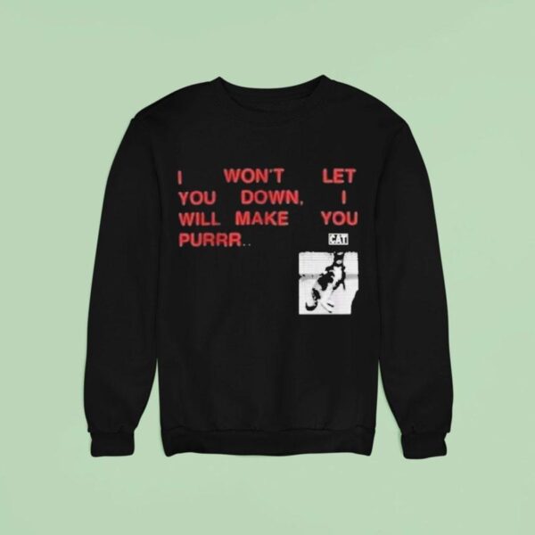 I Won T Let You Down I Will Make You Purr Ca Sweatshirt
