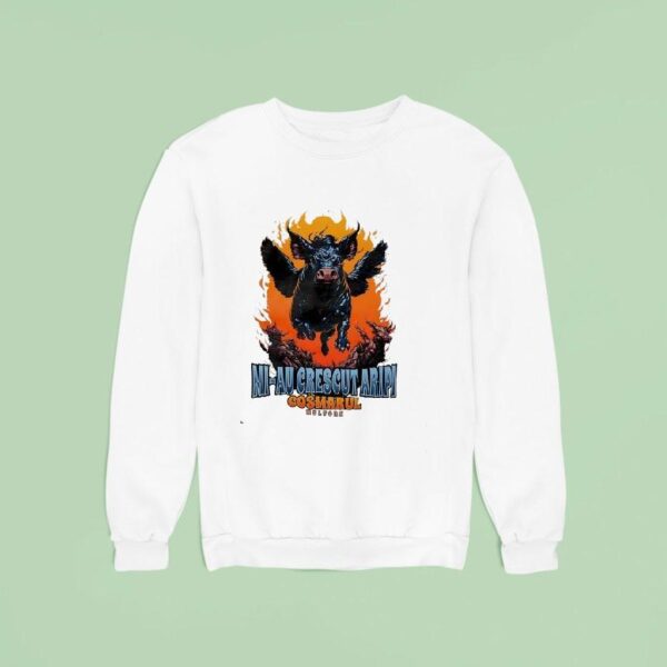 Pig Wings Mi Au Crescut Aripi Cosmarul Multora Sweatshirt