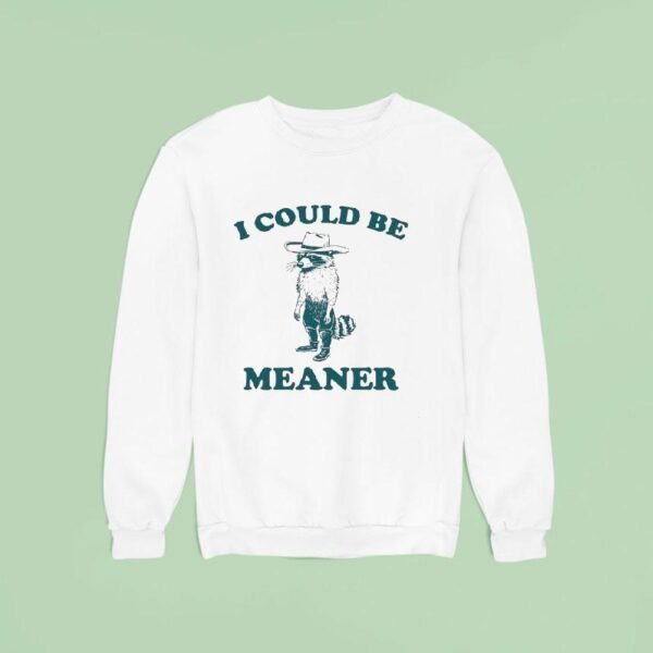 Raccoon I Could Be Meaner Sweatshirt