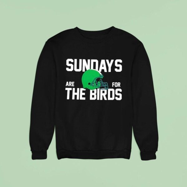 Sundays Are For The Birds Philadelphia Eagles Helme Sweatshirt