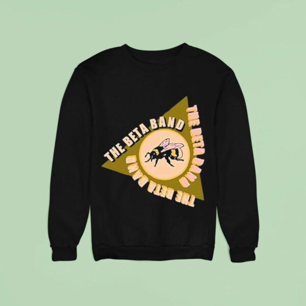 The Beta Band Triangle Bee Sweatshirt