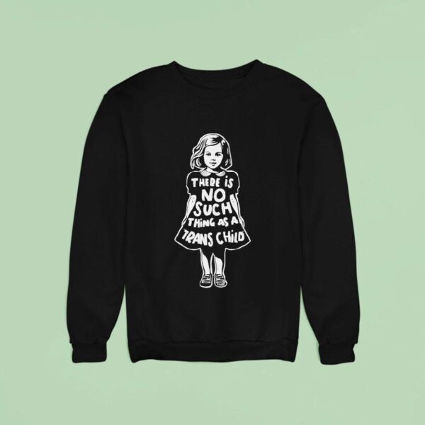 There Is No Such Thing As A Trans Child Sweatshirt