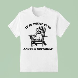 It Is What It Is And It Is Not Great Raccoon T Shirt