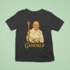 Galdalf Ghandi T Shirt