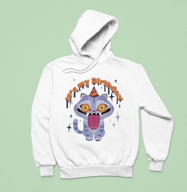 Kpop Demon Hunters It S My Birthday Derpy Tiger Hoodie