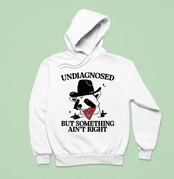 Undiagnosed But Something Ain T Right Raccoon Cowboy Hoodie