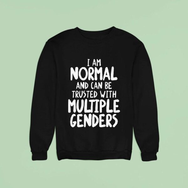 I Am Normal And Can Be Trusted With Multiple Genders Sweatshirt